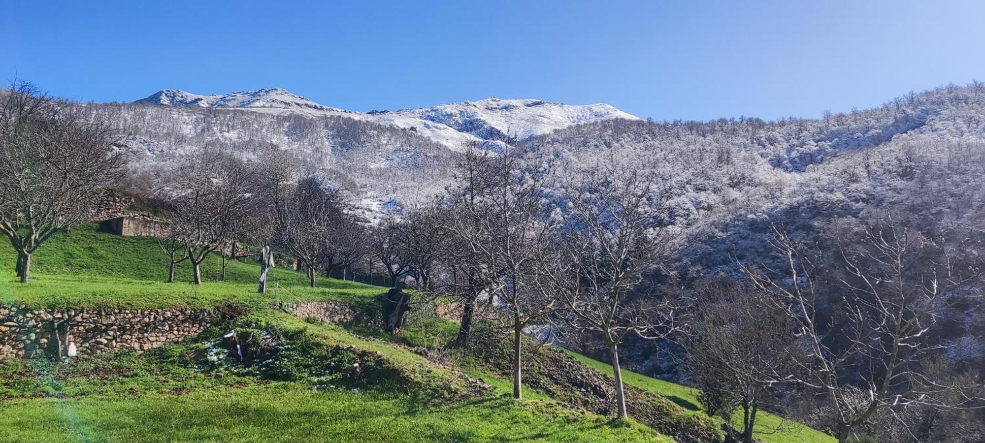 הוילה Cabezón de Liébana Nuestra Casa De Luriezo מראה חיצוני תמונה